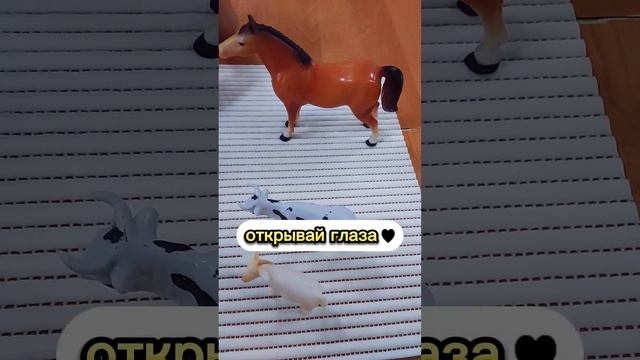 Игра КТО СПРЯТАЛСЯ? Развитие Памяти ребёнка! смотреть онлайн