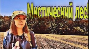 Коп 2020. Возможно она редкая!