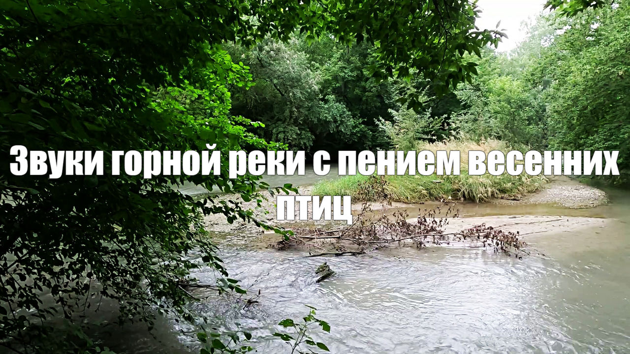 Звуки горной реки с пением весенних птиц