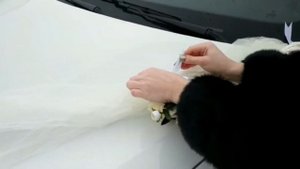 Украшение для свадебного автомобиля