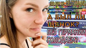 #37 Сбежали из Германии  Что со ЩЕНКОМ и откуда у нас пропитание