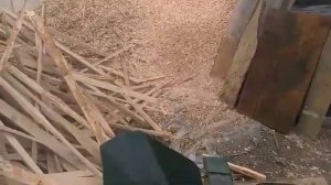 Щепорез Саламандр