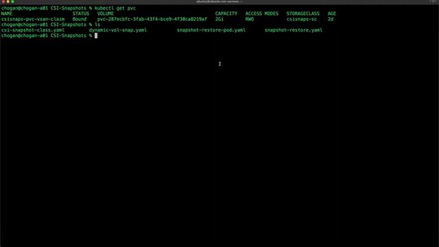 vSphere CSI driver version 2.5 - CSI Snapshot Support Demo смотреть онлайн