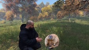 ВЫЖИВАЛОВО ЗАКРЕПЛЯЮЩЕЕ ВИДЕО О БОБРАХ