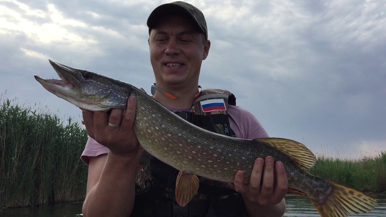 Веселовское водохранилище. 1 июля 2018. Выезд группы