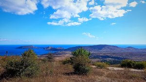 Крым: гора Тепе-Оба. 2 серия. В крымском лесу с голоду не помрешь! Нашла кизил, тёрн и куропаток