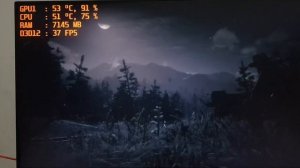 EVGA P106-100 i5 4590 - RDR2 test 1080p