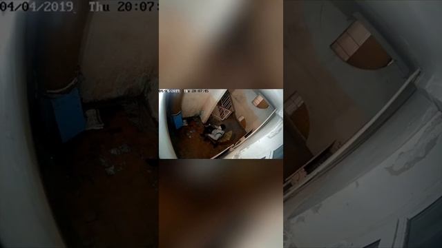 Подъезд Сатаны / вся страна в одном видио ) смотреть онлайн