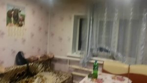 МОЯ ДЕРЕВНЯ. ЛИПЕЦКАЯ ОБЛАСТЬ. ЗАБЫТЫЙ КРАЙ