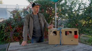 Куры несушки Даром. Как экономить на покупке кур, содержание несушек породы Леггорн