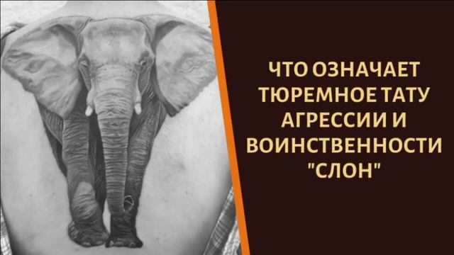 Что означает слон. Слон Татуировка тюремная. Зоновская Татуировка слон. Слон аббревиатура тюремная. Аббревиатура слон на зоне.