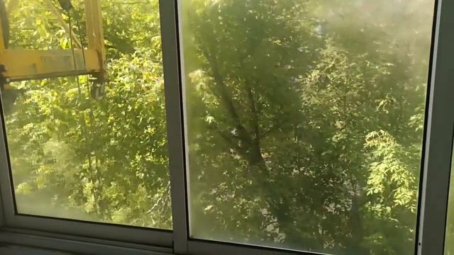 Помыли бесплатно окна на квартире. А у вас такое было? 😉💧🪟 Хорошо что были все окна закрыты! 😊 смотреть онлайн