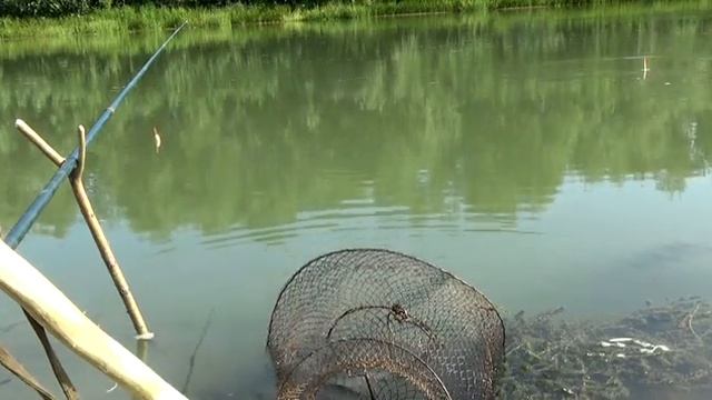 Рыбалка на старице Иртыша Август 2022 movie смотреть онлайн