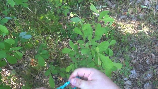 мягкий карабин, софт-шакл. Нужна только веревка. смотреть онлайн