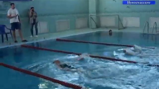 Бассейн соревнования среди пенсионеров смотреть онлайн