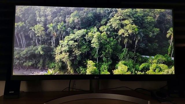 بررسی تخصصی و تست کیفیت تصویر مانیتور Monitor LG 29WN600-W смотреть онлайн