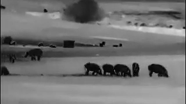 Xeye E3pro смотреть онлайн