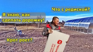 Крот в деле.  Эксперимент.  Грядки.