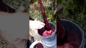 Натуральный сок из черешни