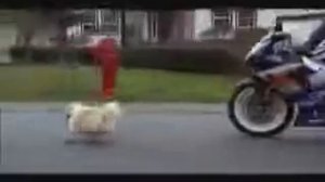 Реклама Suzuki GSX R 1000