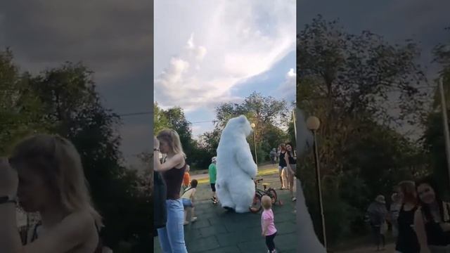 Поздравление от белого медведя на любой праздник. смотреть онлайн