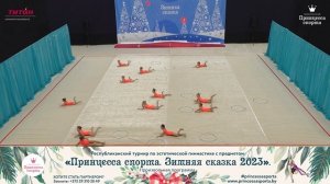 Принцесса спорта. Зимняя сказка 2023 - Бусинки - Мойсеева Татьяна Александровна