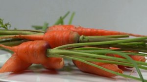 Когда сеять МОРКОВЬ, СВЕКЛУ ПОД ЗИМУ в октябре, ноябре 2023. ЛУЧШИЕ ДНИ по лунному календарю