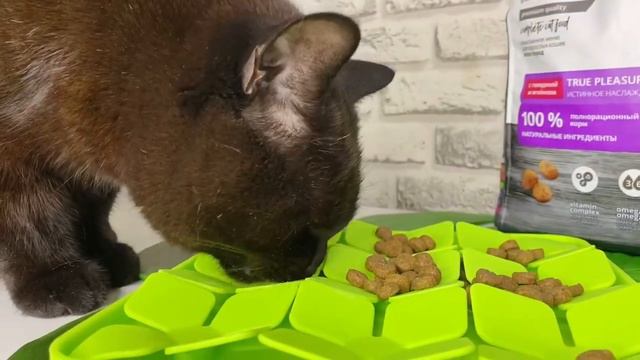 Корм для кошек PROBALANCE "GOURMET DIET BEEF & LAMB" # смотреть онлайн