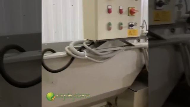 Как порезать и посушить салат айсберг?