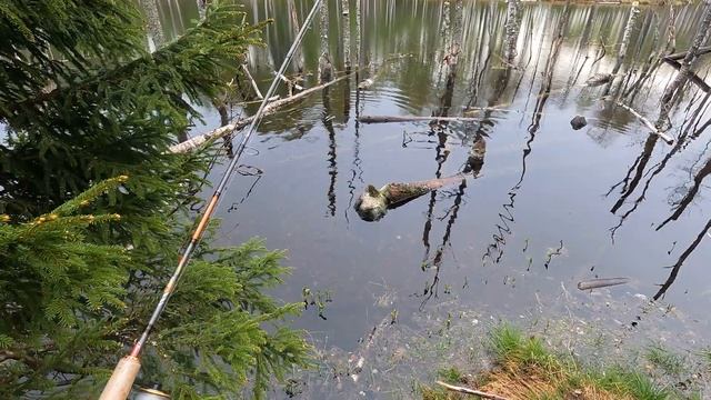 Открытие летнего сезона 2022 года по ловле щуки на спиннинг