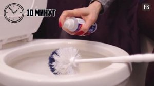 Как легко очистить унитаз добела от налета и ржавчины: полезные советы