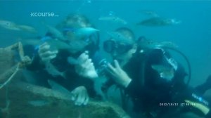 Дайвинг в Сочи • Дайвинг-квест в Адлере