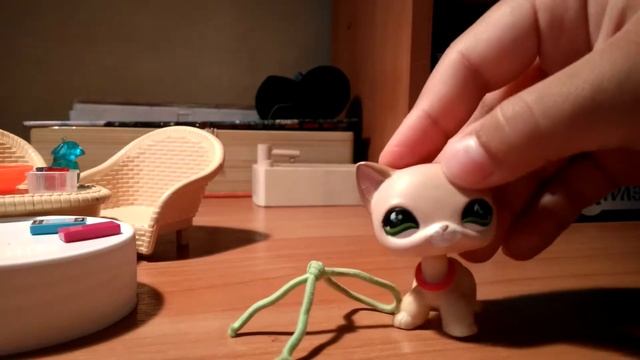 Сломался пэт смотреть онлайн