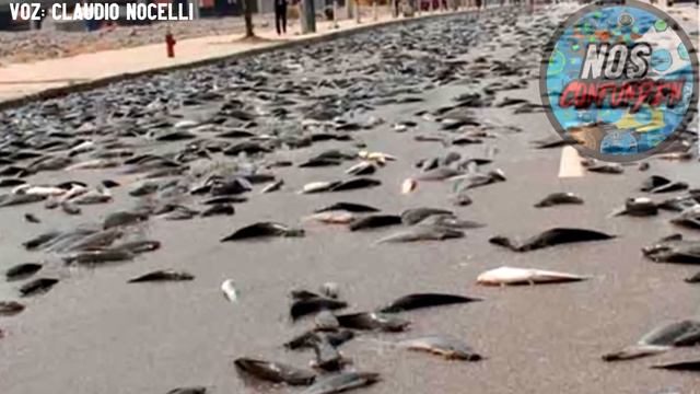 EL CLIMA MANIPULADO DENTRO DEL DOMO смотреть онлайн