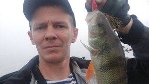 ОНИ ОБЕЗУМЕЛИ. Раздача окуня на поверхностные приманки. Это называется Эльдорадо