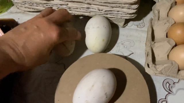Почему Яйца разные⁉️//Обзор яиц разных пород Куры,Гуси, перепела