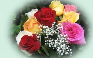 21 мая - Всемирный день Розы (цветка)