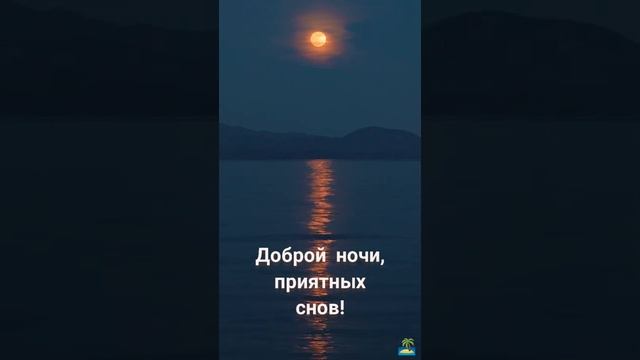 Доброй ночи, приятных снов!