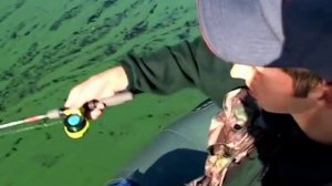 О рыбалке всерьез. Ловля судака на мормышку с живцом