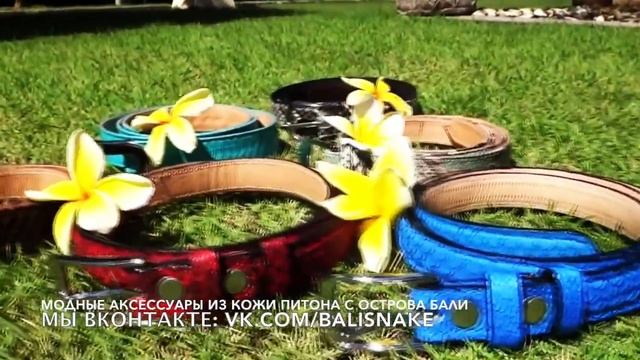 Модные ремни из кожи питона с острова Бали (Индонезия)