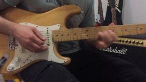 Fender stratocaster natural ash American series 2000