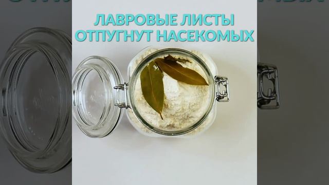 Классные_лайфхаки_и_для_развлечения_интересно