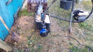 Ложный водонос.