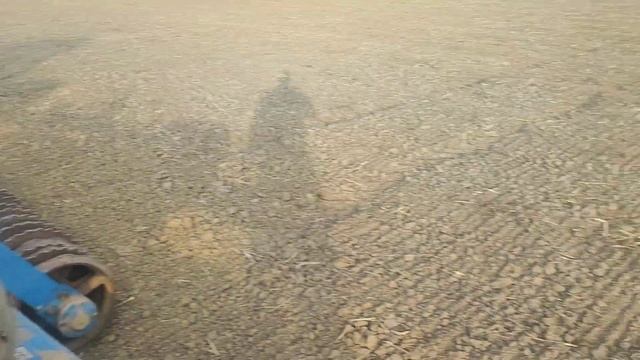 Прикатывание ПОСЕВОВ овса 2023! Подтягиванин влаги ? смотреть онлайн