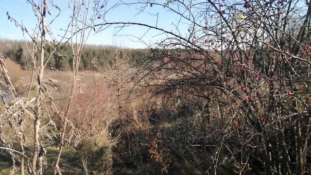 Когда стоит продавать акции? смотреть онлайн