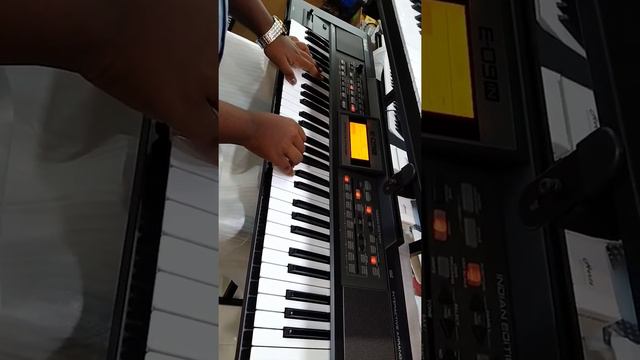 Roland E 09in