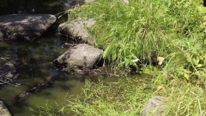 Водопад в Патрушах - город Арамиль