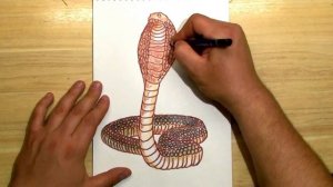 КАК НАРИСОВАТЬ ЗМЕЮ КОБРУ 3D. How to draw a snake 3D
