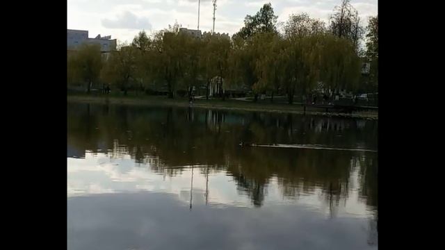 1 мая, а уже вылупились утята смотреть онлайн