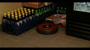 профессиональный робот roomba (румба) 625 - www.irobot21.ru